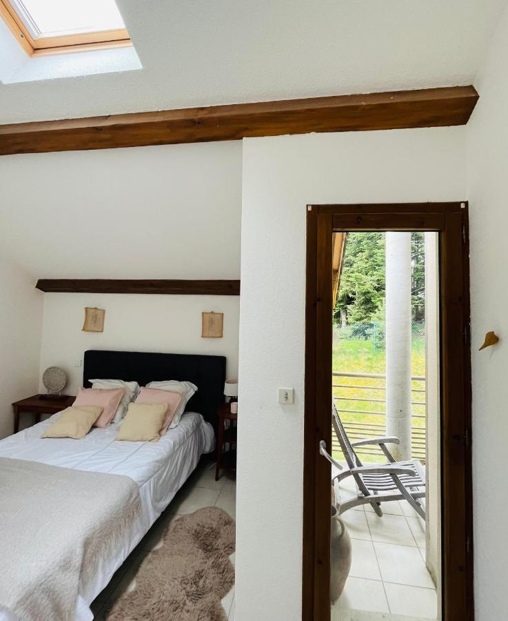 "Les Oiseaux" Avec Terrasse, Parking, Duplex Apartment Le Chambon-sur-Lignon Exterior foto