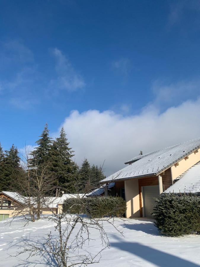 "Les Oiseaux" Avec Terrasse, Parking, Duplex Apartment Le Chambon-sur-Lignon Exterior foto