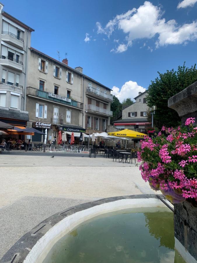 "Les Oiseaux" Avec Terrasse, Parking, Duplex Apartment Le Chambon-sur-Lignon Exterior foto