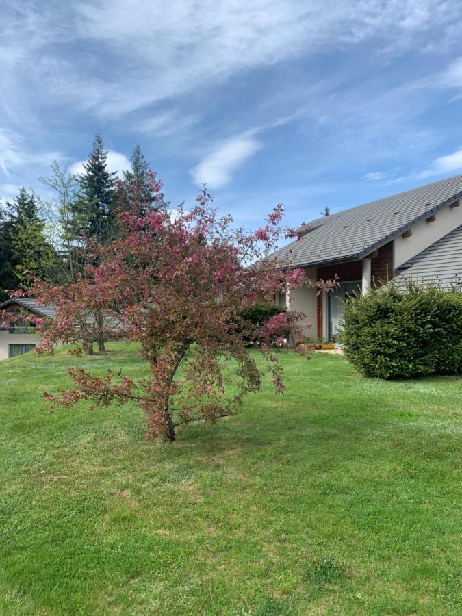 "Les Oiseaux" Avec Terrasse, Parking, Duplex Apartment Le Chambon-sur-Lignon Exterior foto